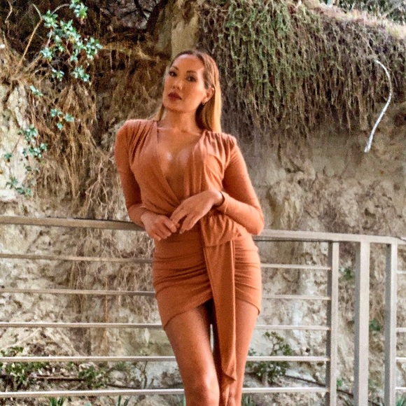 JLUX LABEL TAN DRESS - Picture 2 of 6